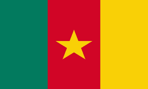 Résultats du CEPE et du FSLC 2024 au Cameroun