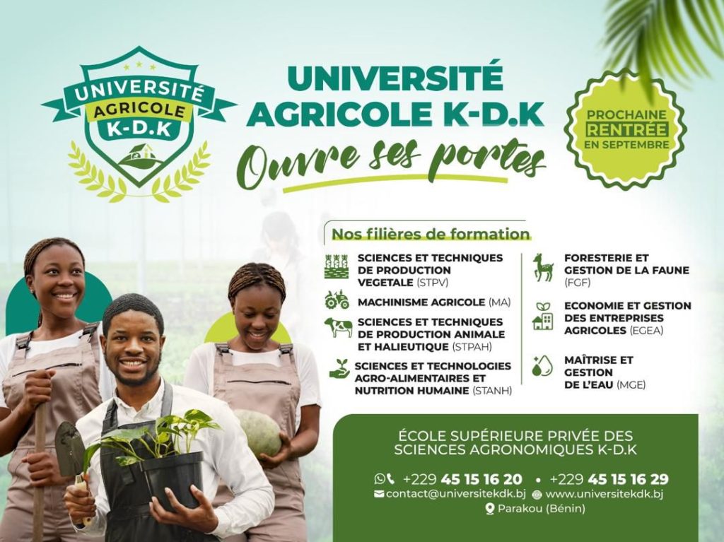 Choix de filières des nouveaux bacheliers 2024 au Bénin : Voici les résultats de l'orientation universitaire 2024